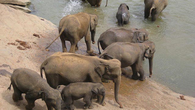 1467721351_2manas 3.jpg